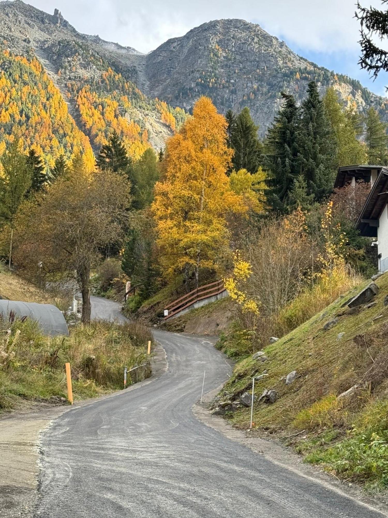 Chalet Charming Grächen Екстериор снимка